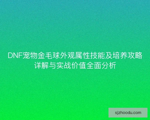 DNF宠物金毛球外观属性技能及培养攻略详解与实战价值全面分析
